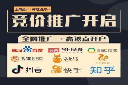 竞价广告的投放策略与效果评估——以一成功企业为例